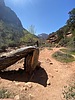 photo thumbnail #9