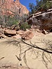 photo thumbnail #10