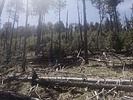 photo thumbnail #13