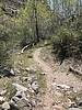 photo thumbnail #6