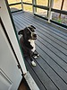photo thumbnail #3