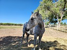 photo thumbnail #4