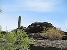 photo thumbnail #1