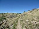 photo thumbnail #4