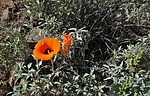 photo thumbnail #6
