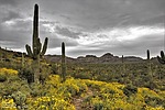 photo thumbnail #5