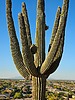 photo thumbnail #10
