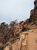photo thumbnail #4