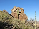 photo thumbnail #5