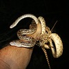 photo thumbnail #2