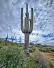 photo thumbnail #15