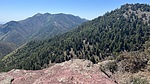 photo thumbnail #5