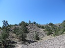 photo thumbnail #13