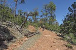 photo thumbnail #5