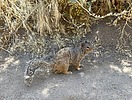 photo thumbnail #11