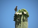 photo thumbnail #11