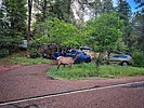 photo thumbnail #6