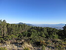 photo thumbnail #14