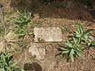 photo thumbnail #13