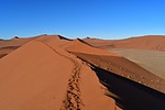 photo thumbnail #14