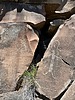 photo thumbnail #11