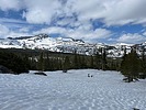photo thumbnail #1
