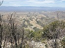 photo thumbnail #7