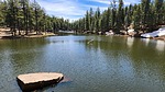 photo thumbnail #5