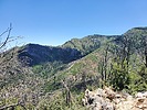 photo thumbnail #3