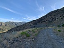 photo thumbnail #3