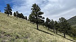 photo thumbnail #14