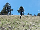 photo thumbnail #13