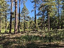 photo thumbnail #1