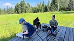 photo thumbnail #4