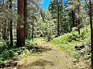 photo thumbnail #12