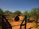 photo thumbnail #6