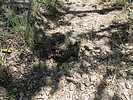 photo thumbnail #11
