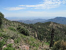 photo thumbnail #4