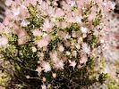 photo thumbnail #15