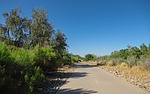 photo thumbnail #4