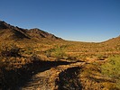 photo thumbnail #7