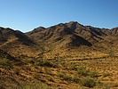photo thumbnail #9
