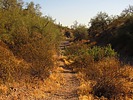 photo thumbnail #4