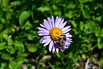 photo thumbnail #14