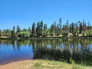 photo thumbnail #9
