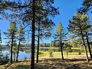 photo thumbnail #3