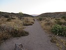 photo thumbnail #2