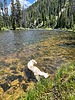 photo thumbnail #7