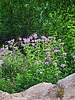 photo thumbnail #10