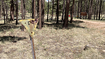 photo thumbnail #15